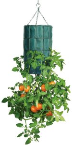 revolution-upside-down-tomato-planter-1